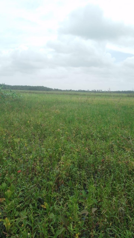 Vista da fazenda