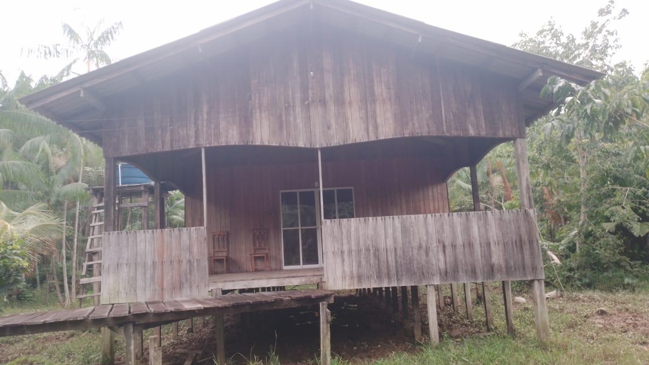 Vegetação nativa